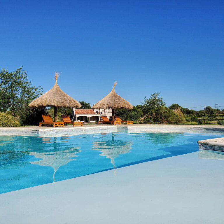 bosque-yacana-lote-15-02