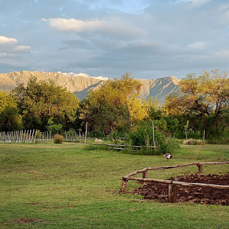 bosque-yacana-lote-19-05