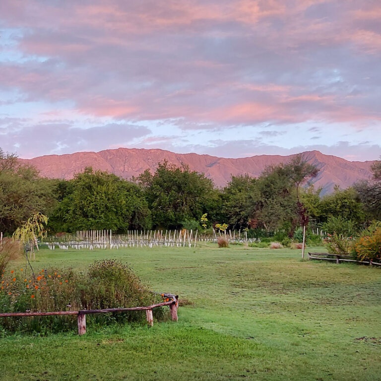 bosque-yacana-lote-19-06