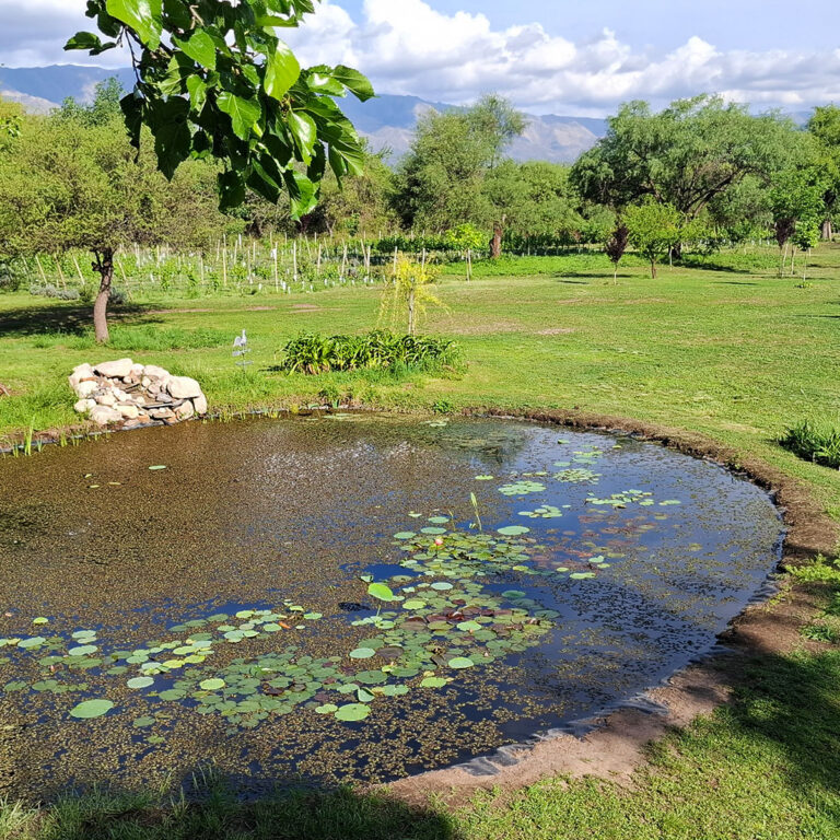 bosque-yacana-lote-19-08
