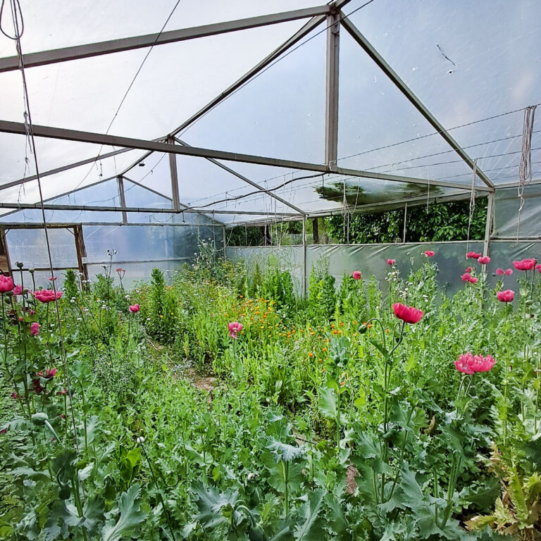 bosque-yacana-lote-19-10